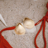 Le Coquillage - édition limitée