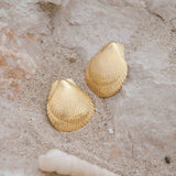 Le Coquillage - édition limitée