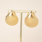 Le Coquillage - édition limitée