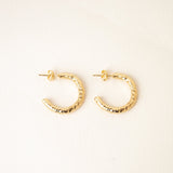 Lucia hoop earrings