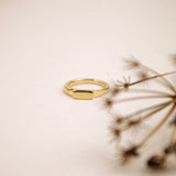 Rocknest ring